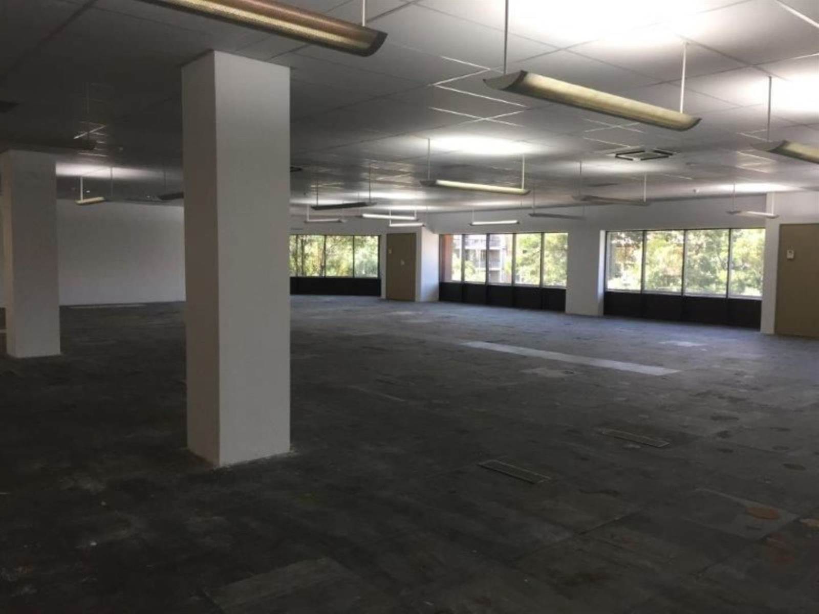 7934  m² Commercial space in Parktown photo number 8