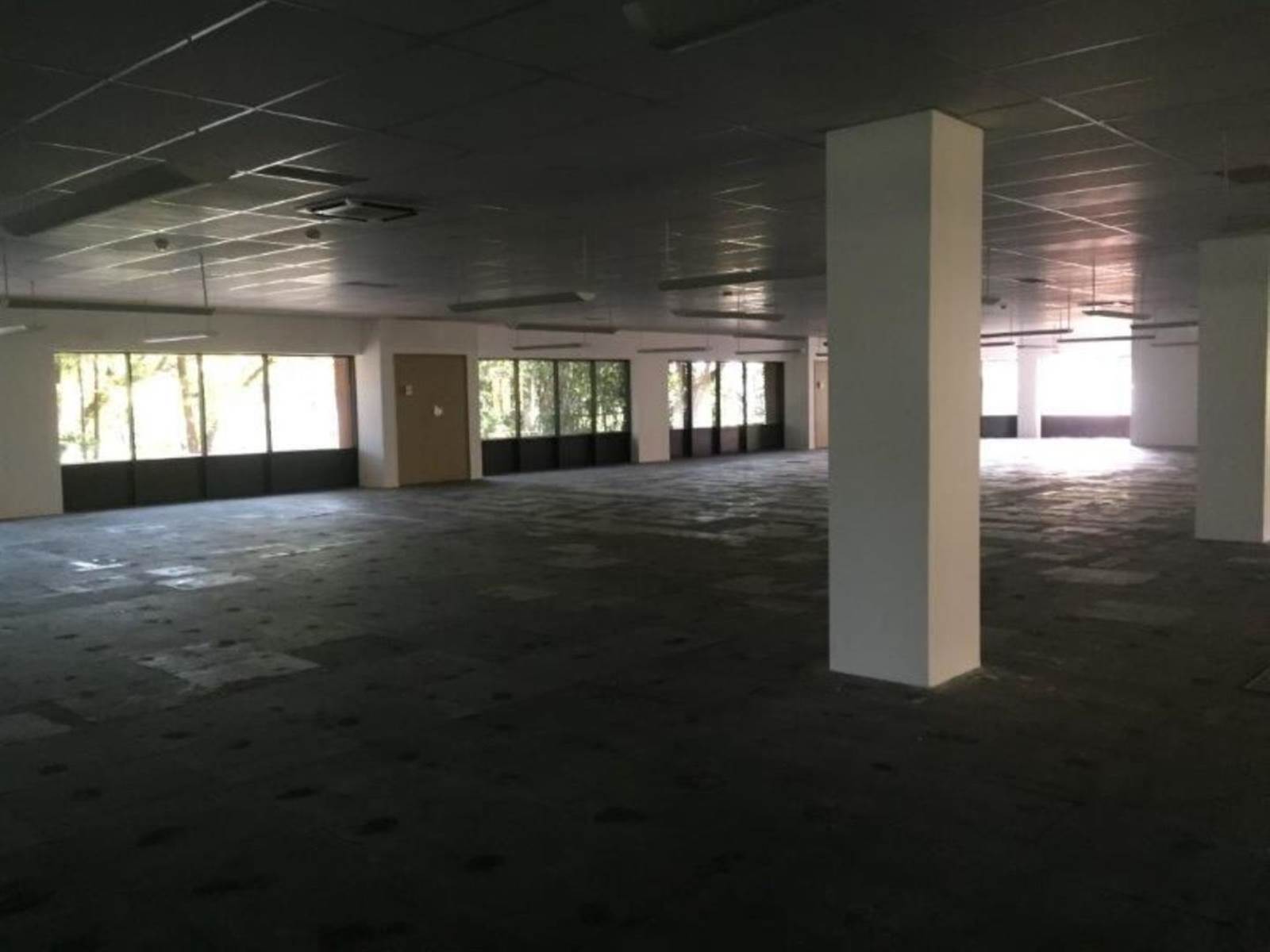 7934  m² Commercial space in Parktown photo number 10