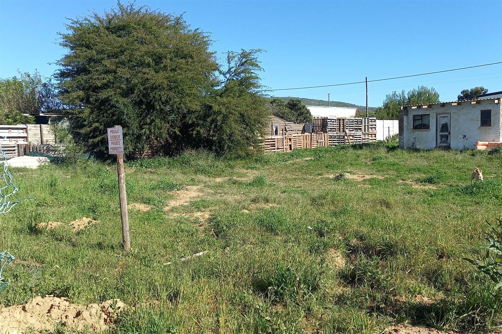 991 m² Land available in Chatsworth photo number 6