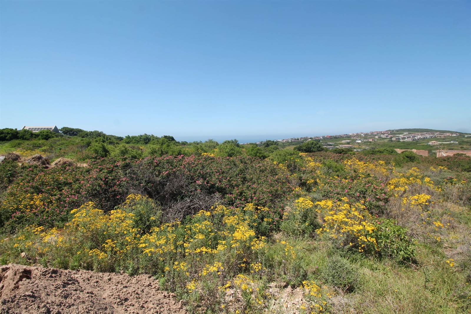 1344 m² Land available in Port Alfred photo number 10