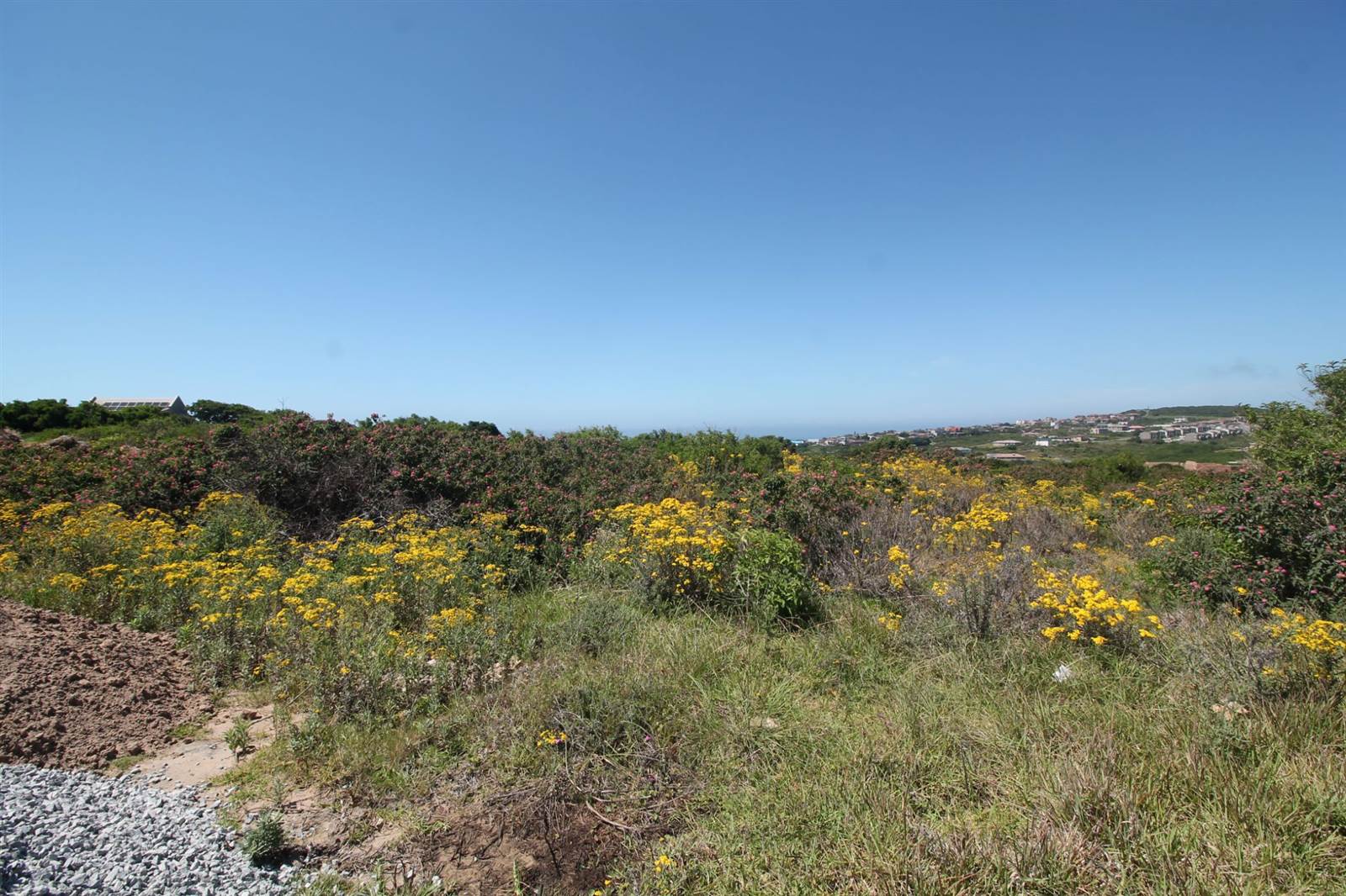 1344 m² Land available in Port Alfred photo number 3