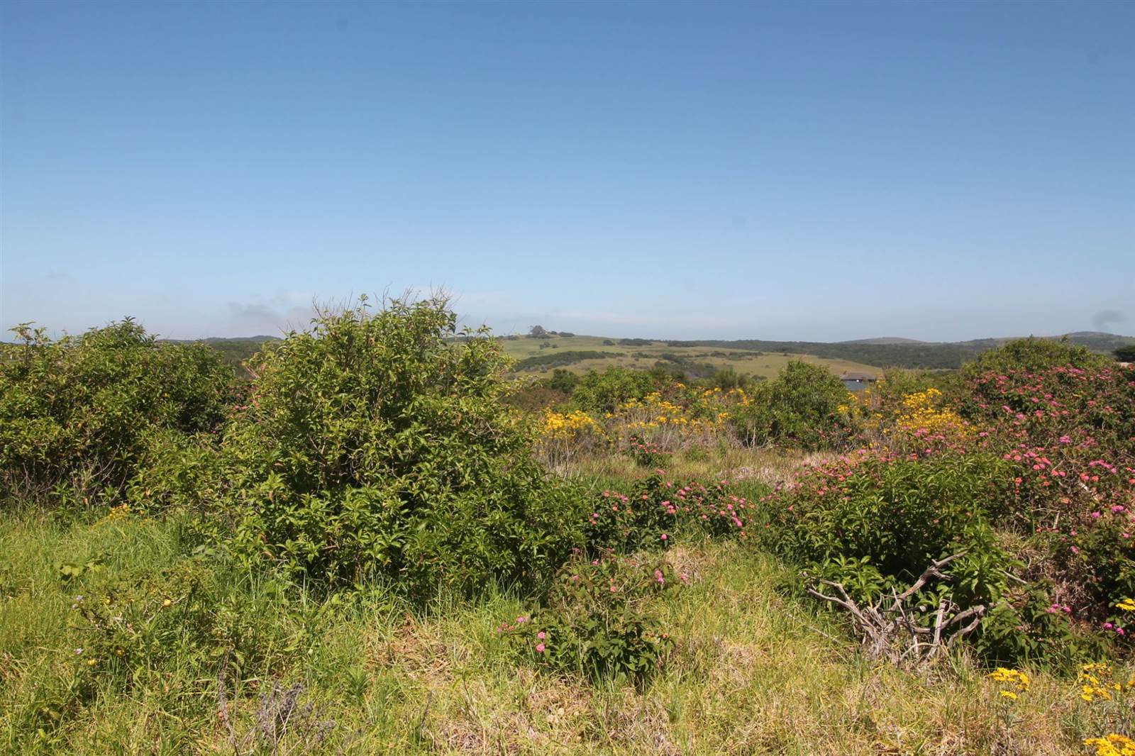 1344 m² Land available in Port Alfred photo number 12