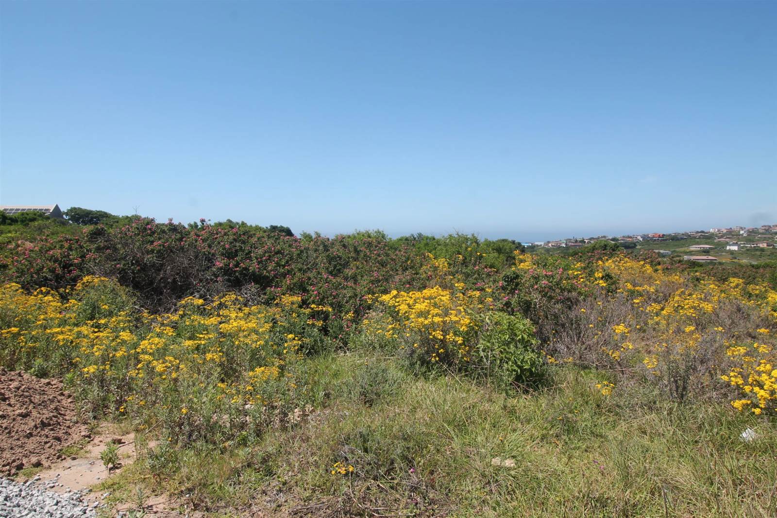 1344 m² Land available in Port Alfred photo number 6