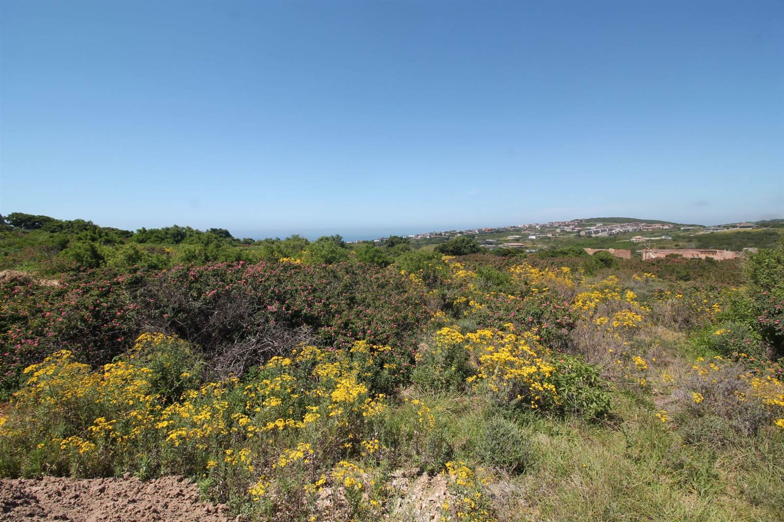 1344 m² Land available in Port Alfred photo number 13