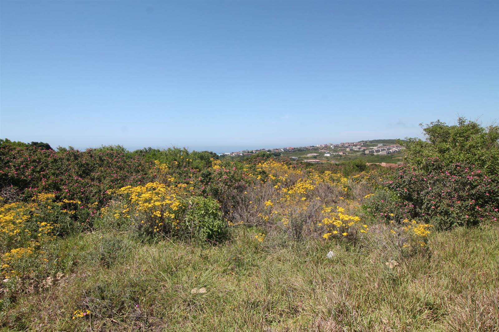 1344 m² Land available in Port Alfred photo number 14