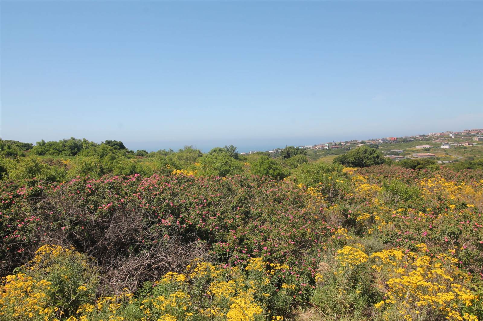 1344 m² Land available in Port Alfred photo number 8