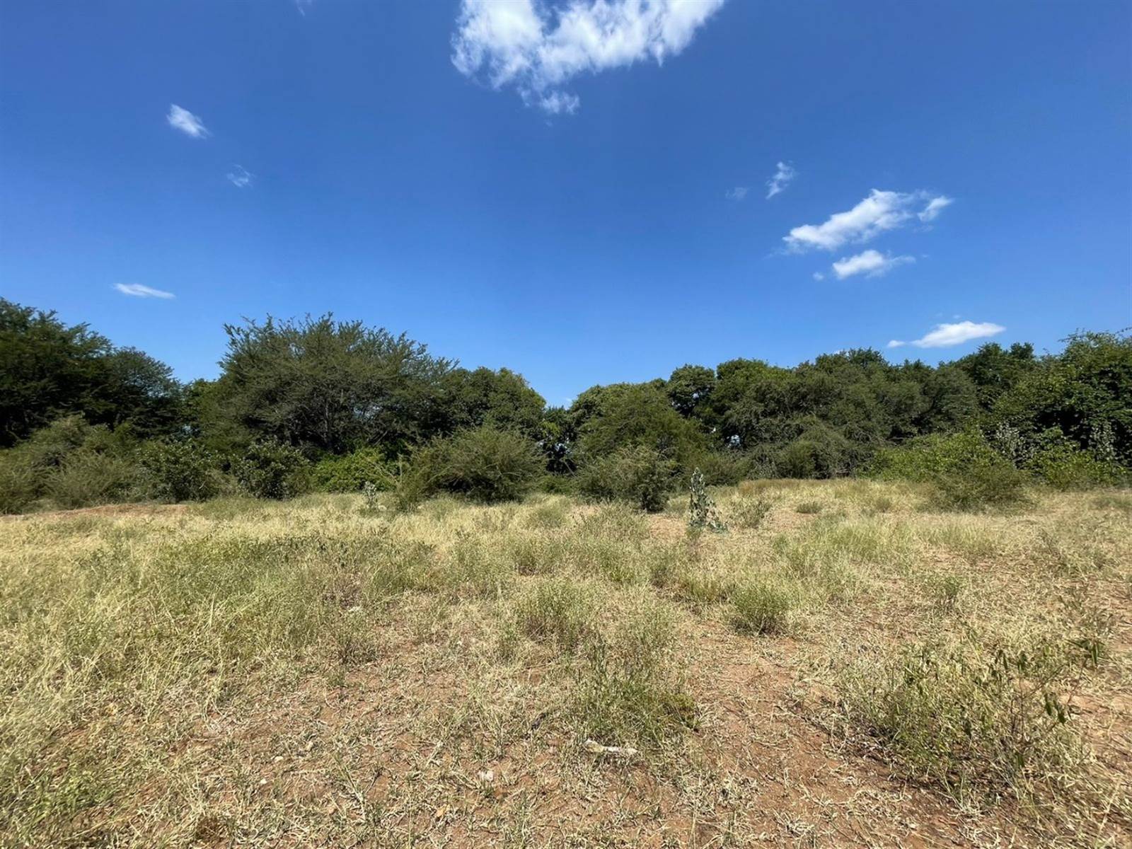 3303 m² Land available in Elephant Rock Eco Estate photo number 3