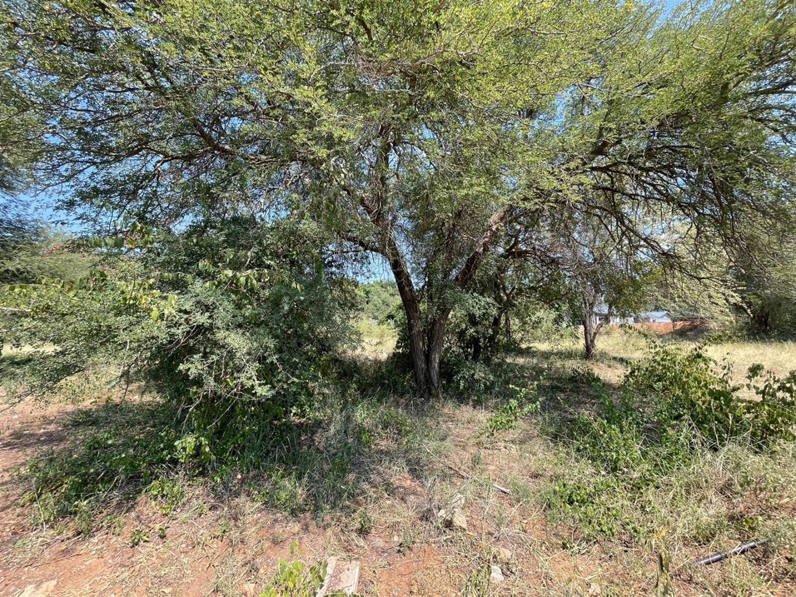 3303 m² Land available in Elephant Rock Eco Estate photo number 2