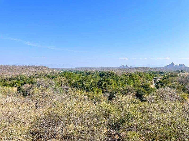 3303 m² Land available in Elephant Rock Eco Estate photo number 16