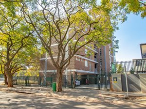 1 Bed Apartment in Sunnyside