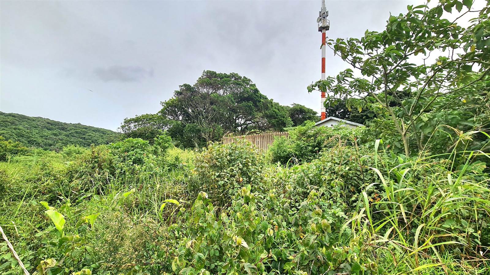 3552 m² Land available in Mtwalume photo number 7