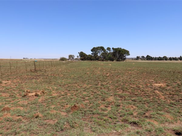1 ha Land available in Martindale