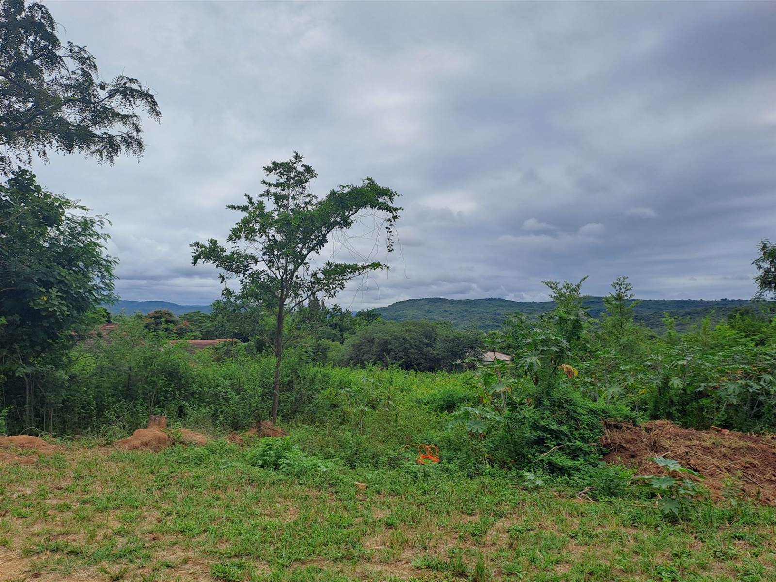 958 m² Land available in Hazyview photo number 4