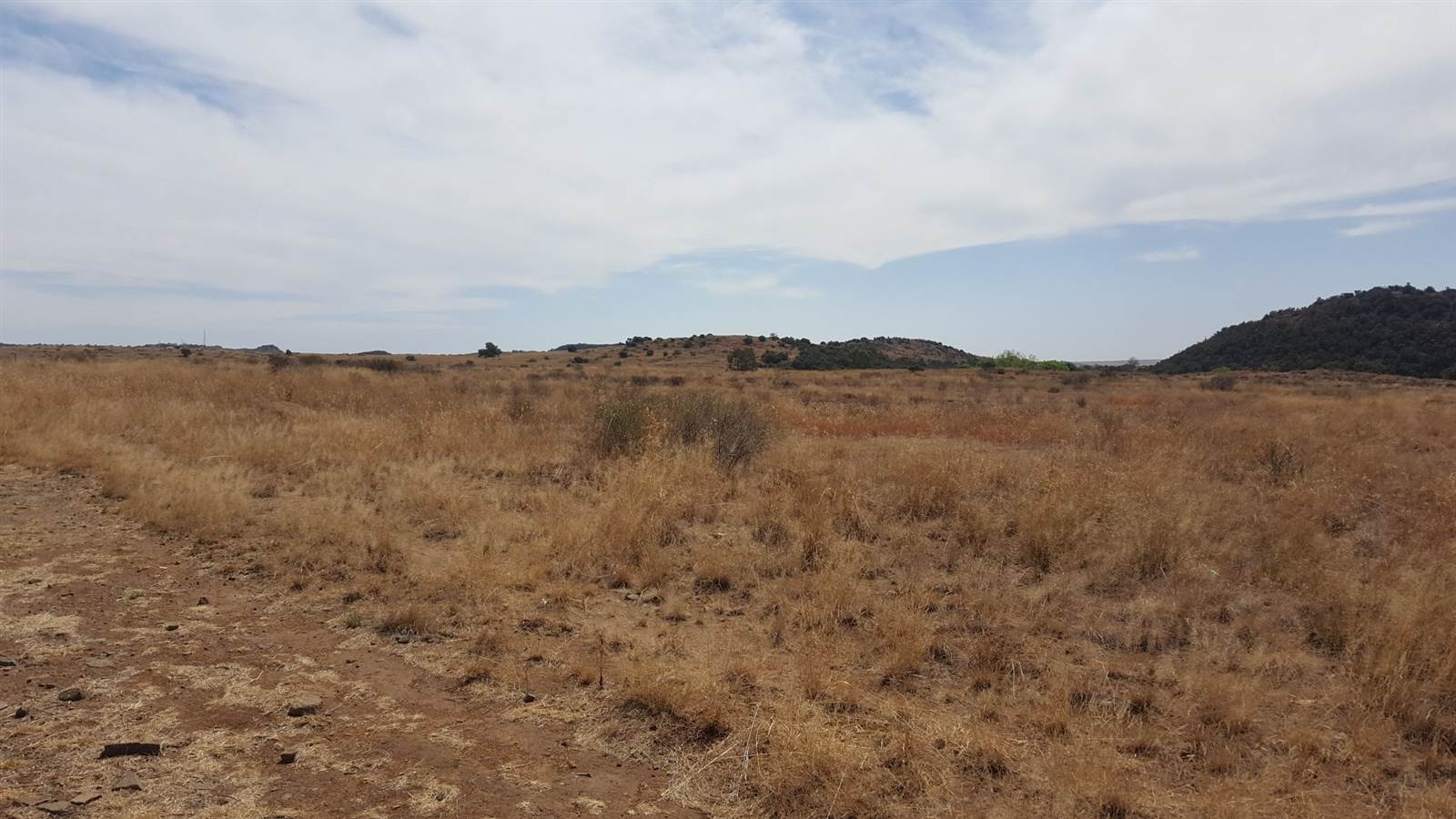 684 m² Land available in Wild Olive Estate photo number 5