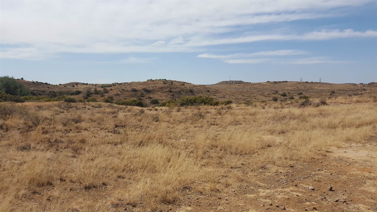 684 m² Land available in Wild Olive Estate photo number 6