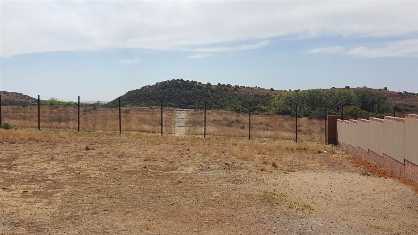 684 m² Land available in Wild Olive Estate photo number 7