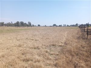 5.3 ha Land available in De Deur