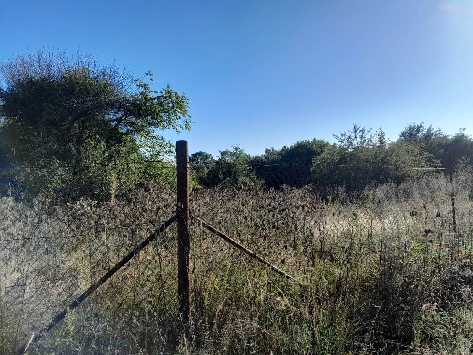 1 ha Land available in Kameelfontein and surrounds photo number 7