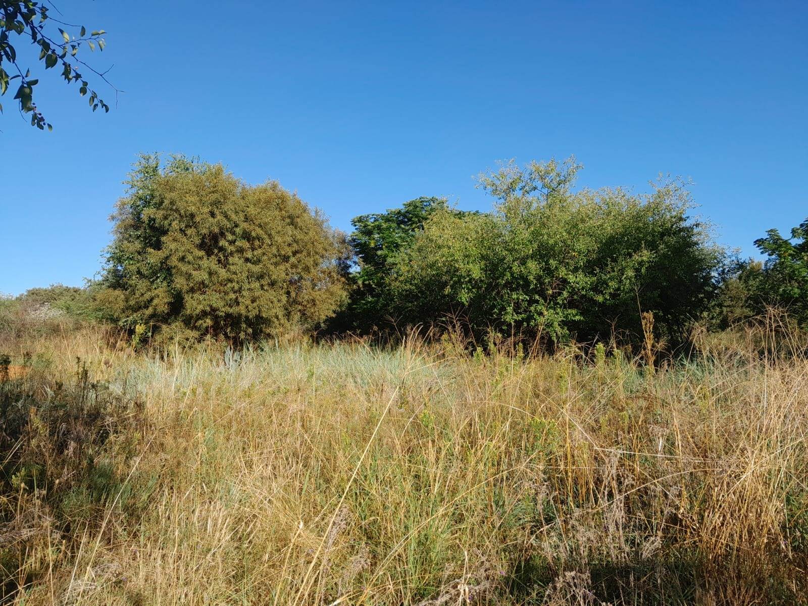 1 ha Land available in Kameelfontein and surrounds photo number 6