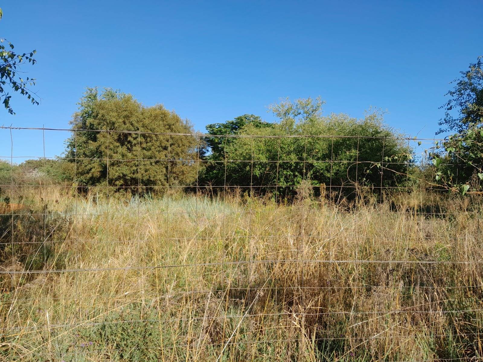 1 ha Land available in Kameelfontein and surrounds photo number 8