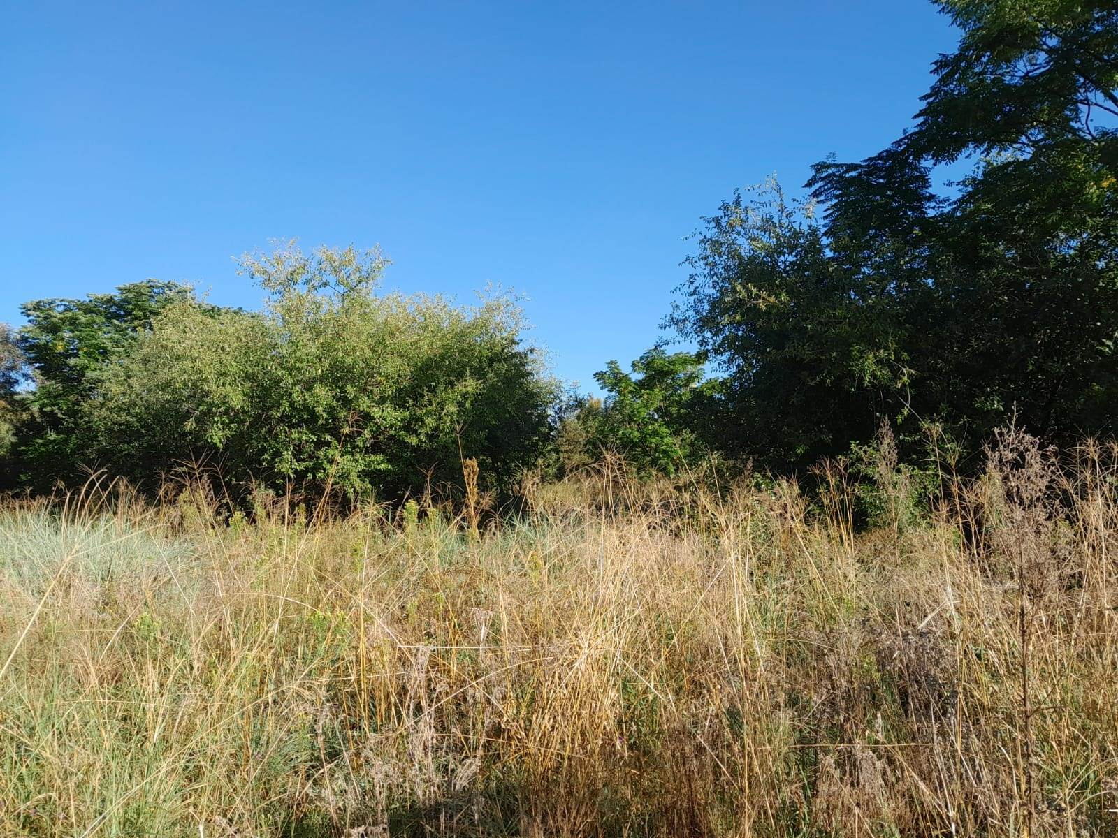 1 ha Land available in Kameelfontein and surrounds photo number 14
