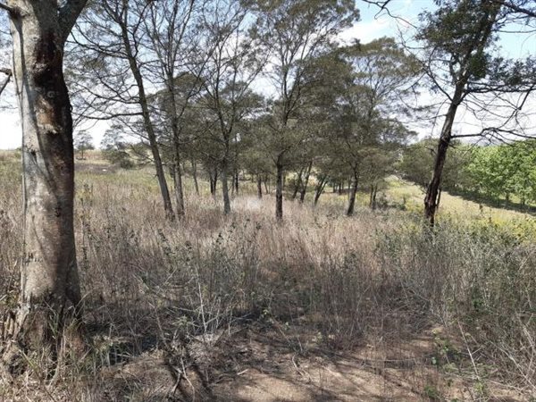 3.1 ha Land available in Manderston