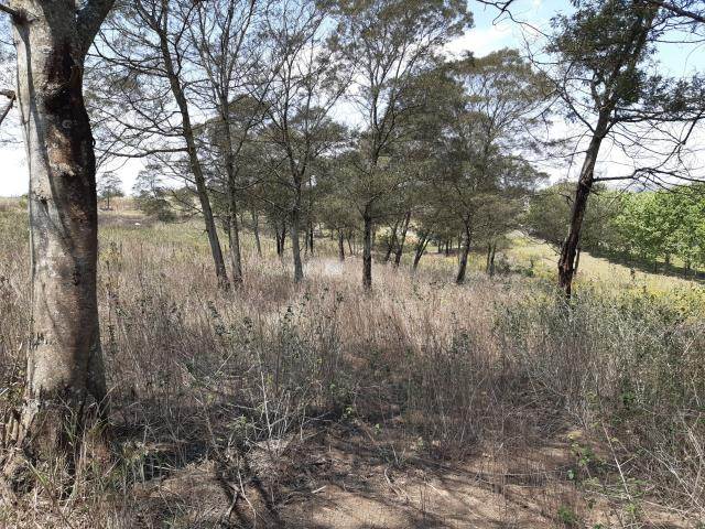 3.1 ha Land available in Manderston photo number 1