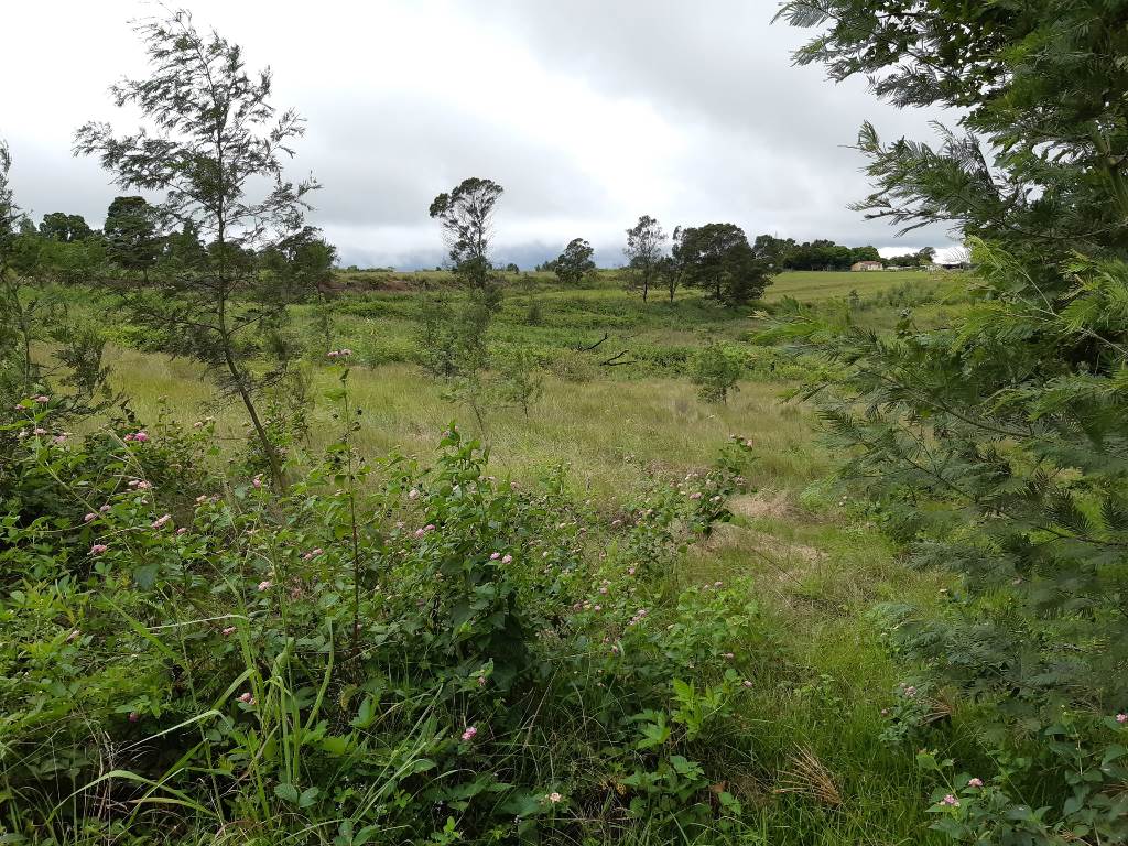 3.1 ha Land available in Manderston photo number 6