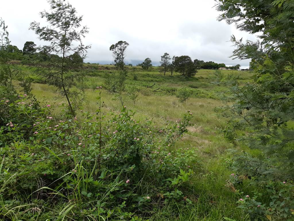 3.1 ha Land available in Manderston photo number 9