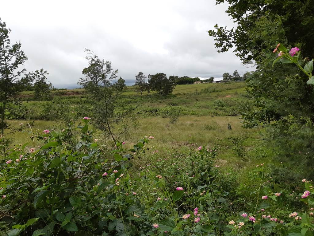 3.1 ha Land available in Manderston photo number 8
