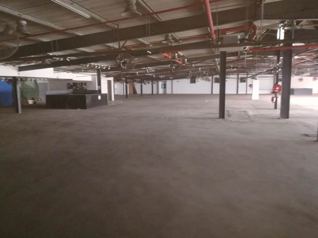 7000  m² Industrial space in Springfield photo number 7