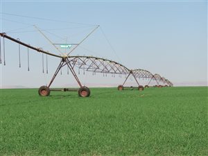 400 ha Farm in Winterton
