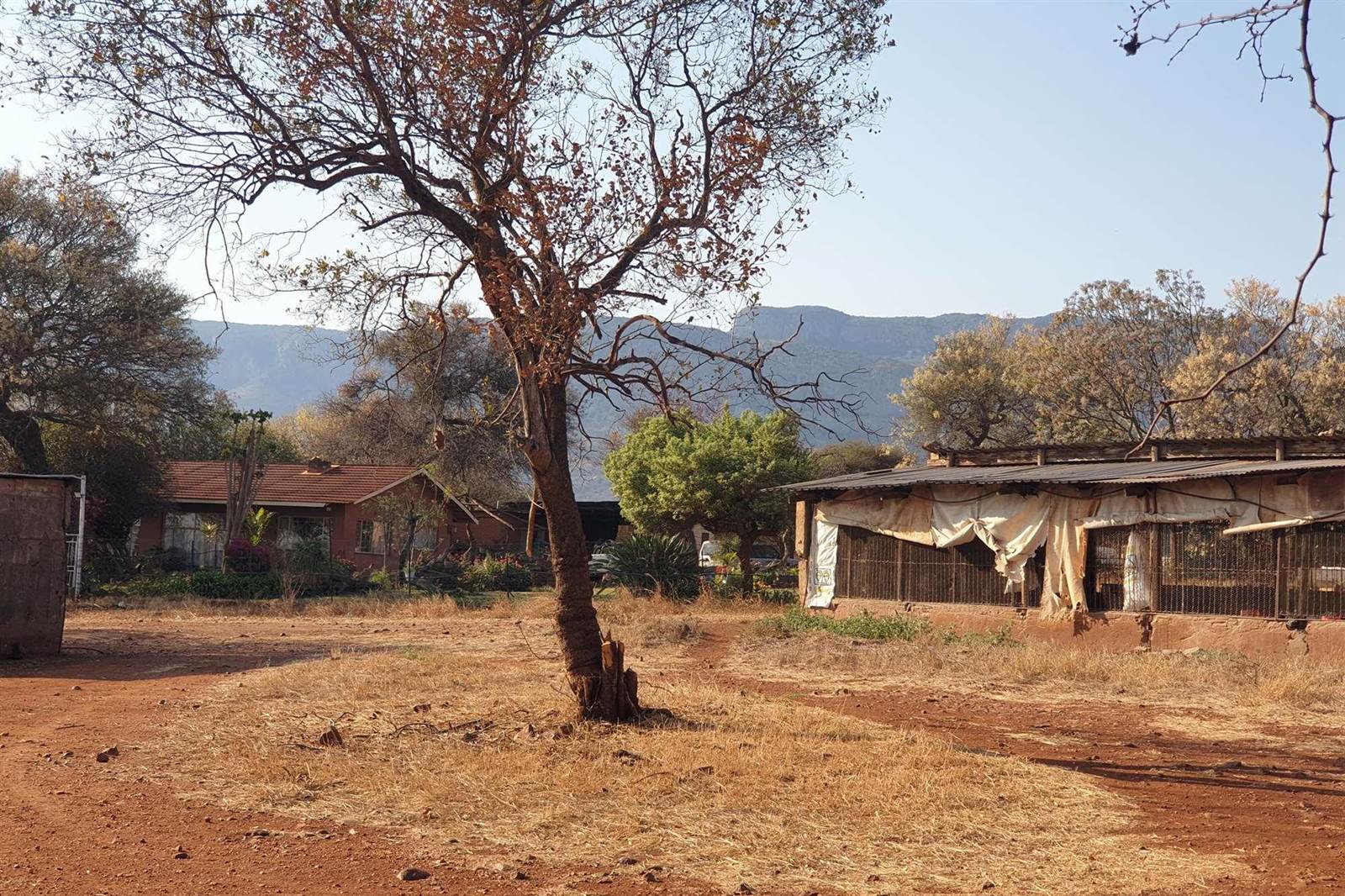 Farm in Thabazimbi photo number 5
