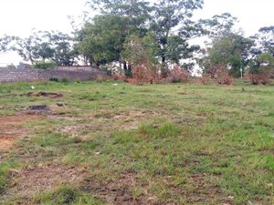 Vacant Land in Struisbult