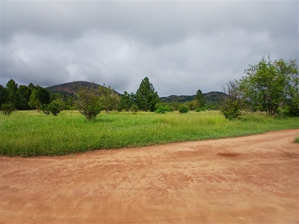 81.2 ha Farm