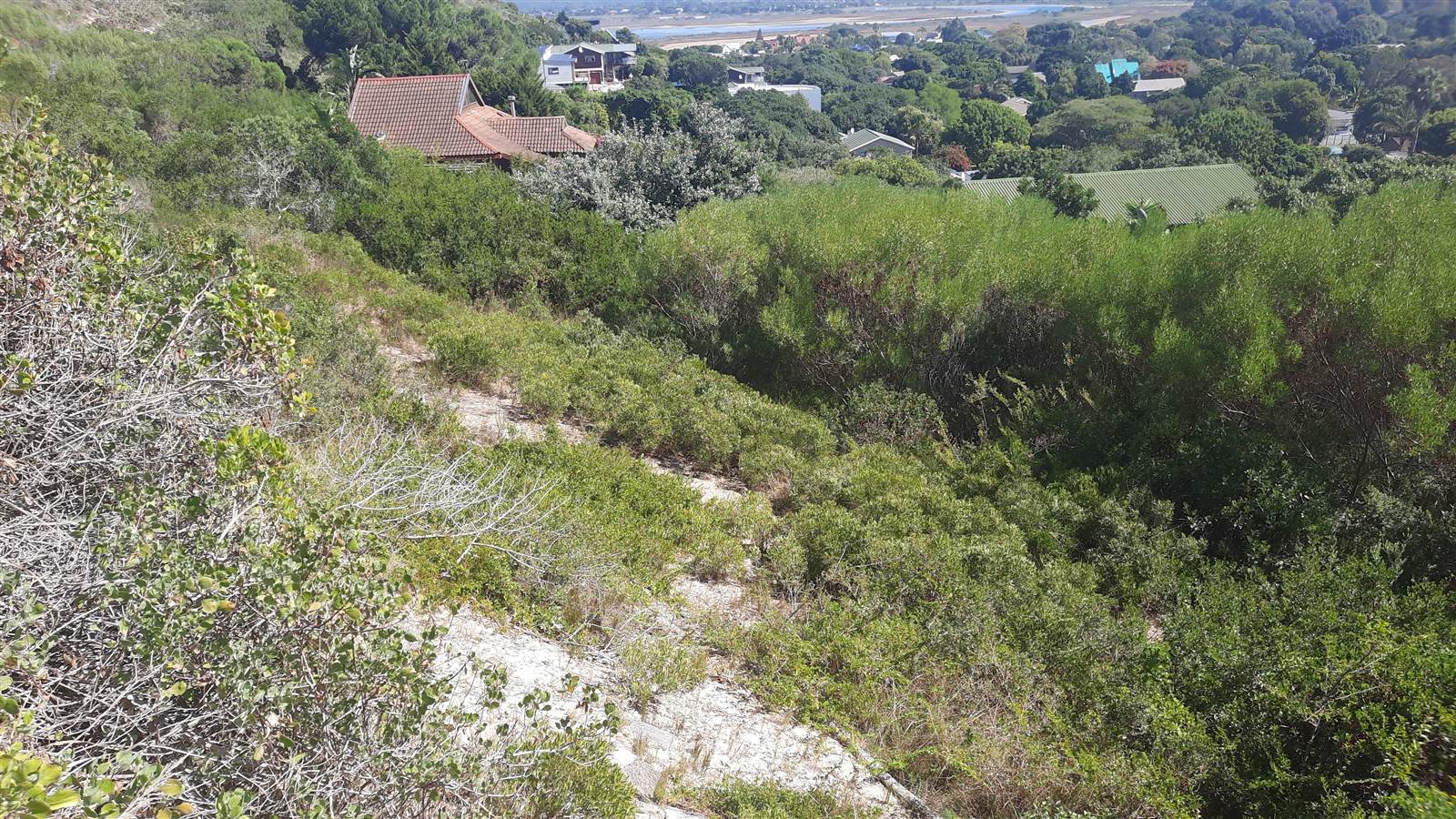 1335 m² Land available in The Village photo number 9