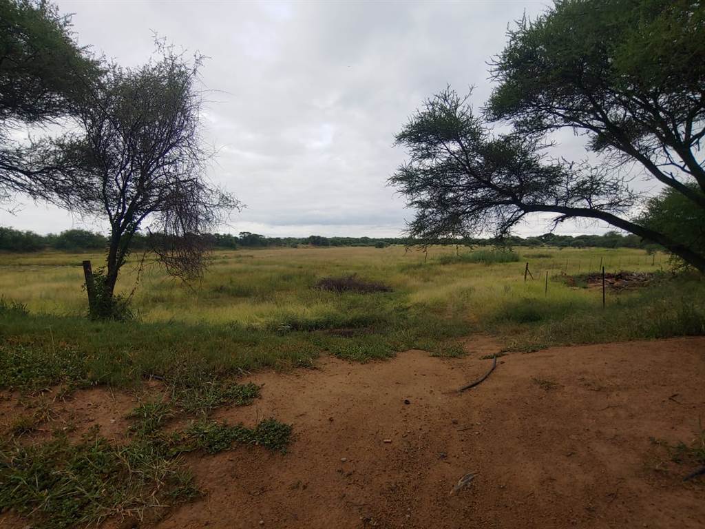 39 ha Farm in Thabazimbi photo number 21