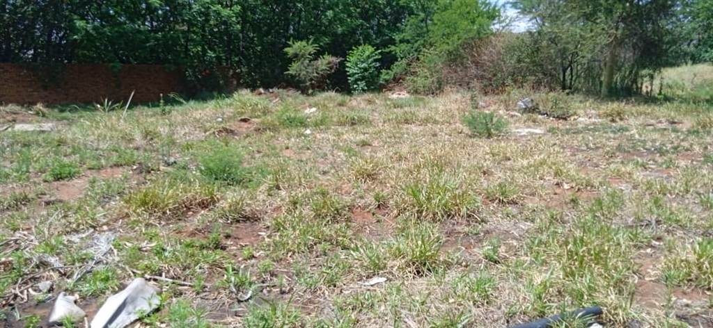 1.3 ha Land available in Karen Park photo number 8