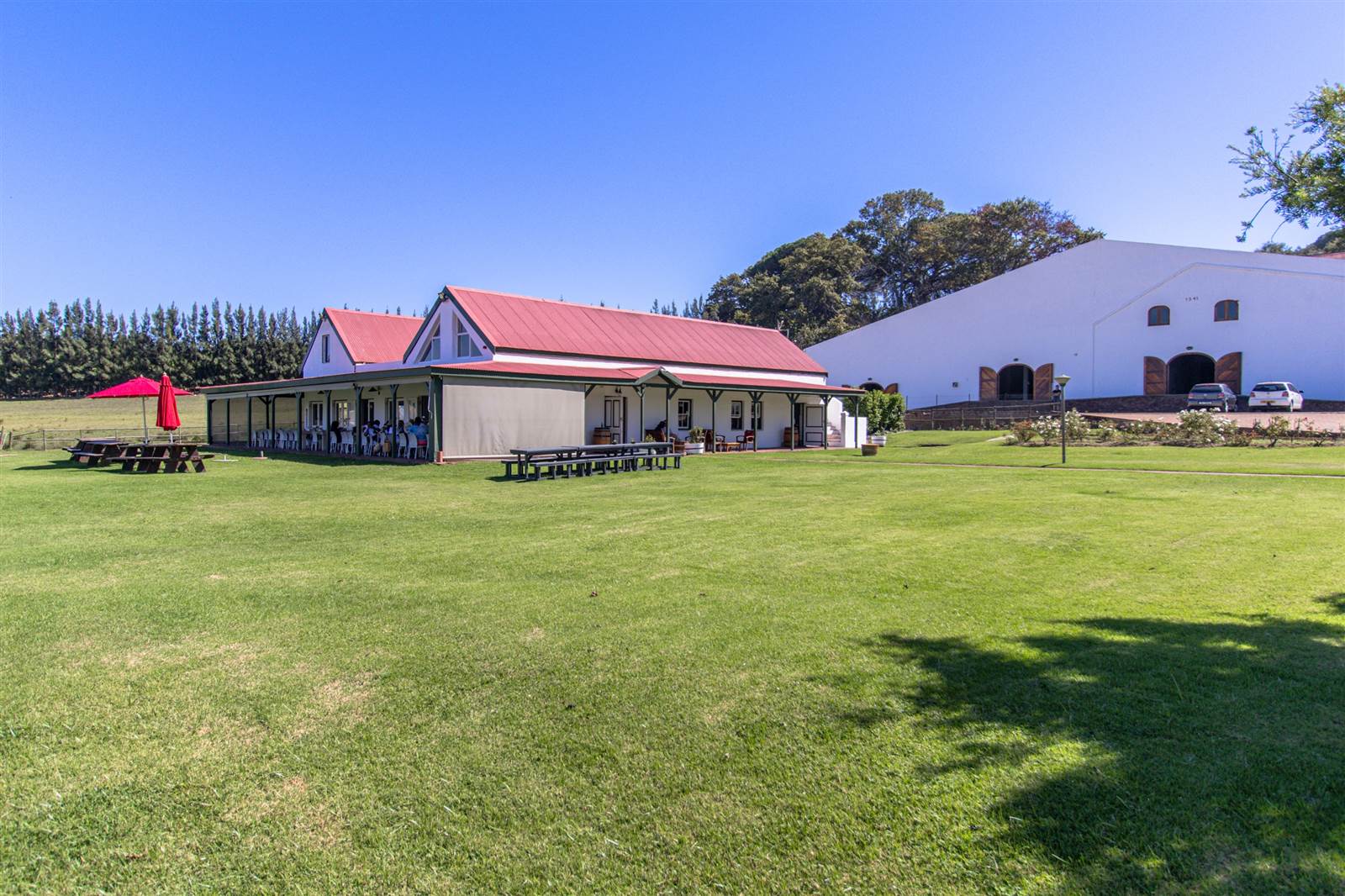 53.6 ha Farm in Stellenbosch Agricultural photo number 13