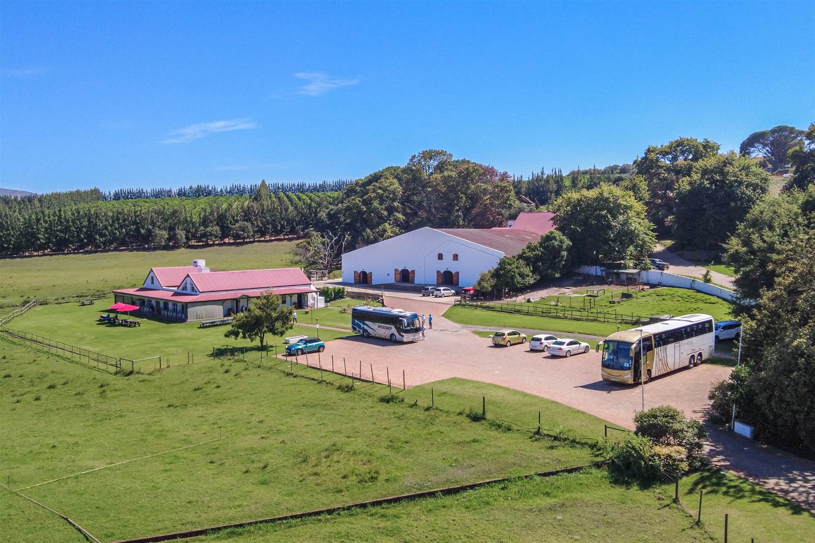 53.6 ha Farm in Stellenbosch Agricultural photo number 5