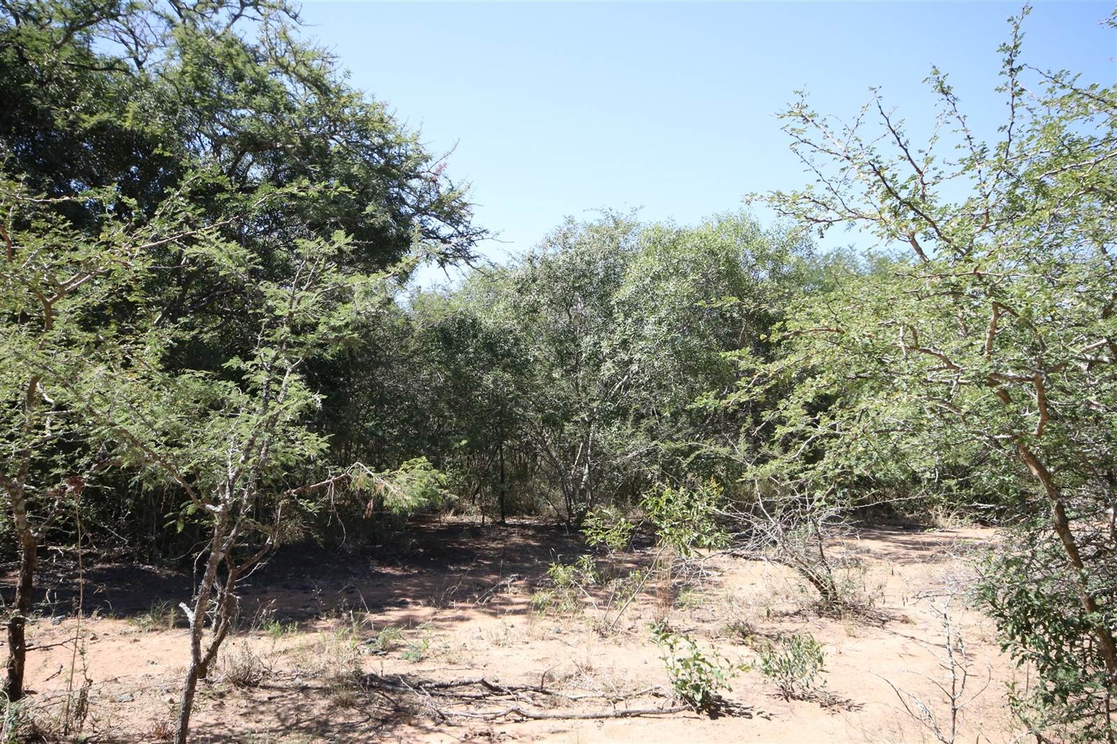 1 ha Land available in Moditlo Nature Reserve photo number 4