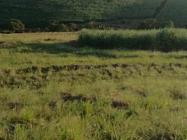 4.5 ha Farm 4.5 ha Farm