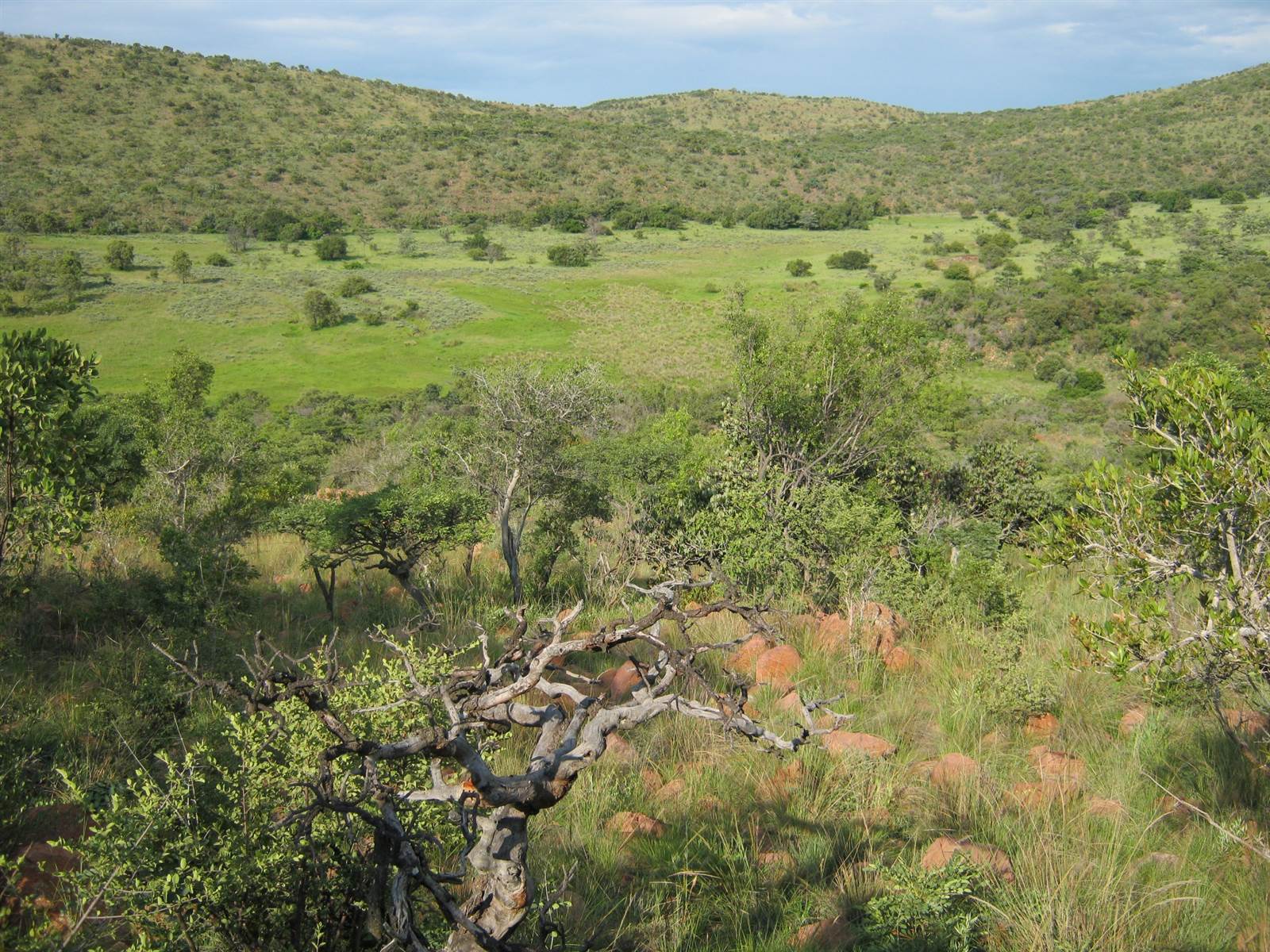 1 ha Land available in Modimolle photo number 14