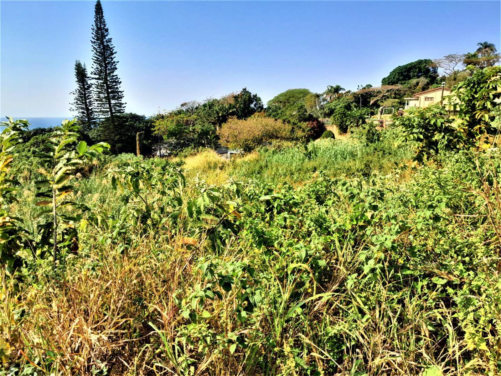 1073 m² Land available in Freeland Park photo number 9