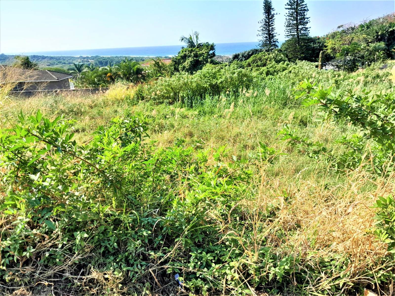1073 m² Land available in Freeland Park photo number 3