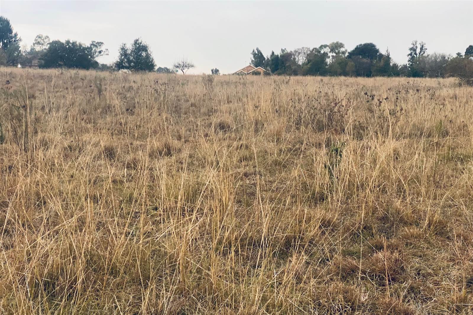 2 ha Land available in Witbank Central photo number 8