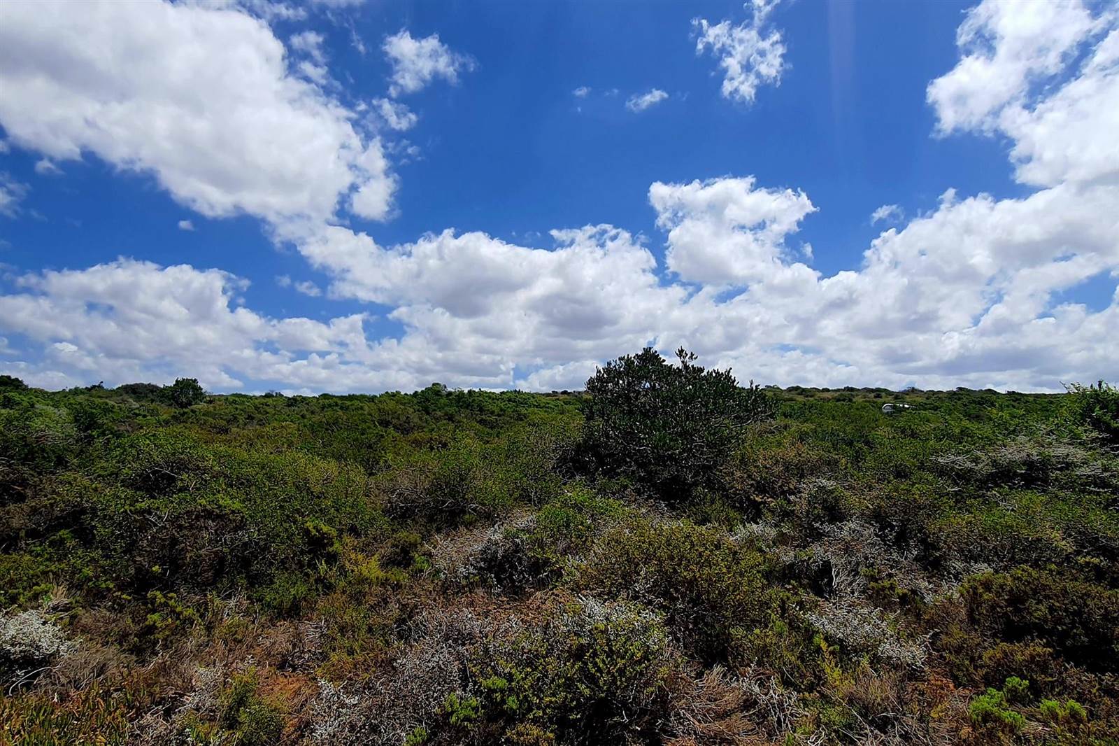2475 m² Land available in Springerbaai Eco Estate photo number 14