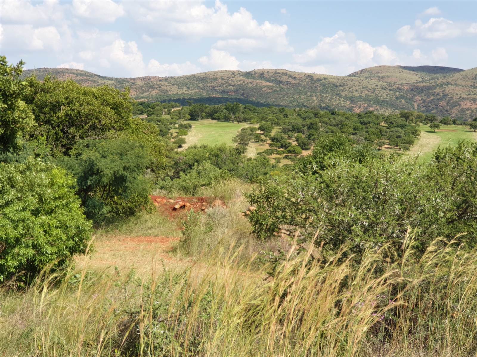 918 m² Land available in Seasons Lifestyle Estate photo number 3