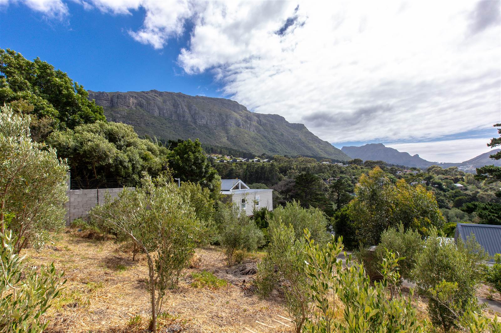 1000 m² Land available in Hout Bay and surrounds photo number 8