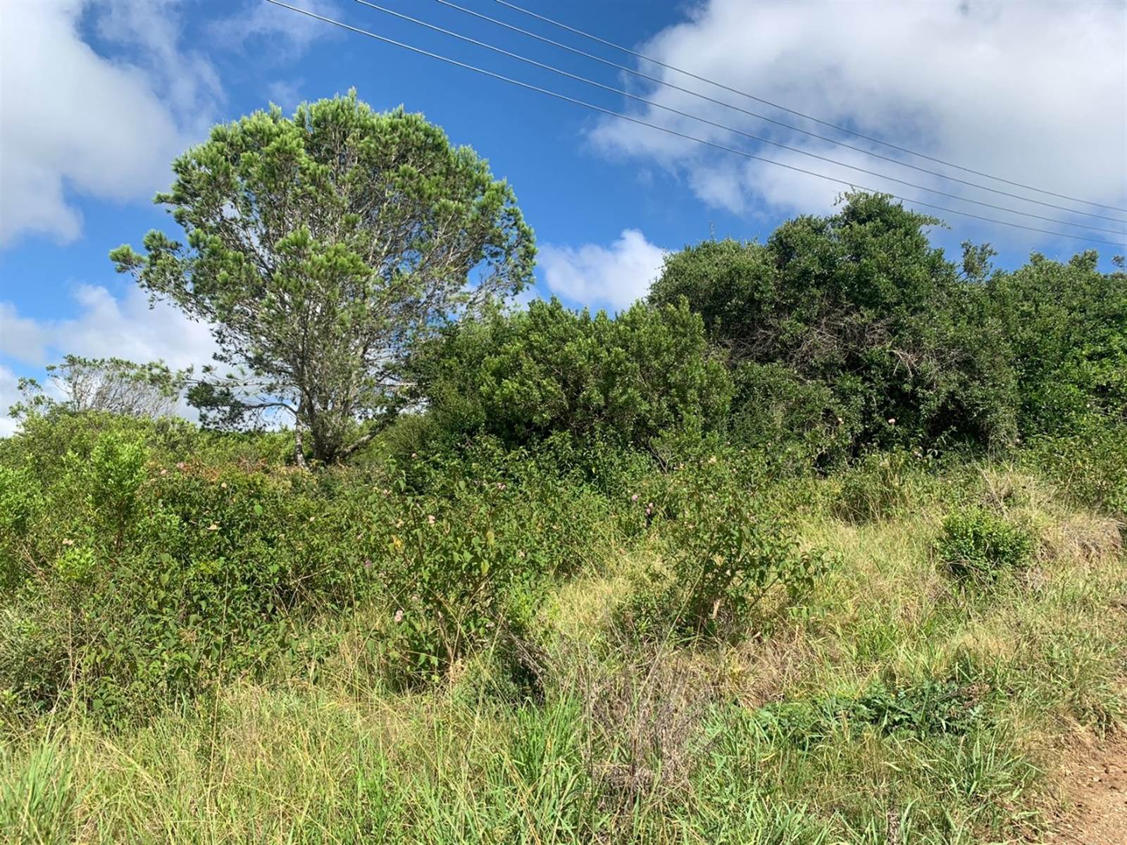 8565 m² Land available in Bathurst and Surrounds photo number 4